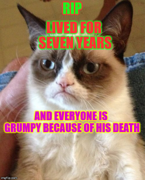 Grumpy Cat Meme | RIP; LIVED FOR SEVEN YEARS; AND EVERYONE IS GRUMPY BECAUSE OF HIS DEATH | image tagged in memes,grumpy cat | made w/ Imgflip meme maker