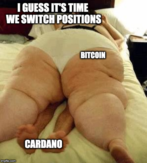 fat woman | I GUESS IT'S TIME WE SWITCH POSITIONS; BITCOIN; CARDANO | image tagged in fat woman,ada_meme | made w/ Imgflip meme maker