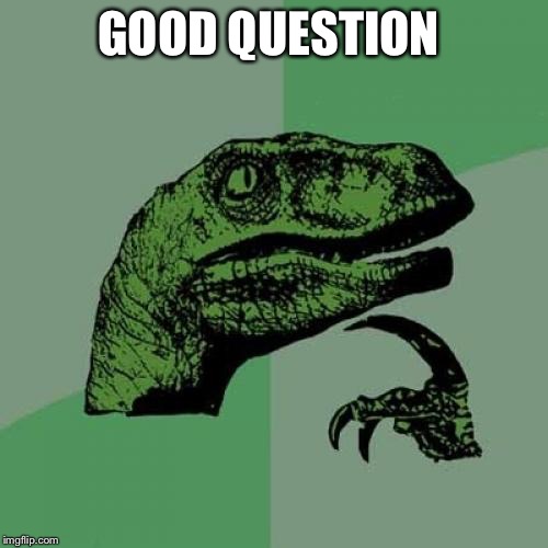 Philosoraptor Meme | GOOD QUESTION | image tagged in memes,philosoraptor | made w/ Imgflip meme maker