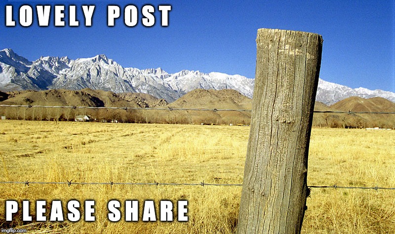 Share This Post | L O V E L Y   P O S T; P L E A S E   S H A R E | image tagged in lovely post,please share,just because,country  western,wild west,home on the range | made w/ Imgflip meme maker