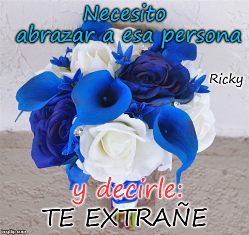 Flowers | Necesito abrazar a esa persona; Ricky; y decirle:; TE EXTRAÑE | image tagged in flowers | made w/ Imgflip meme maker