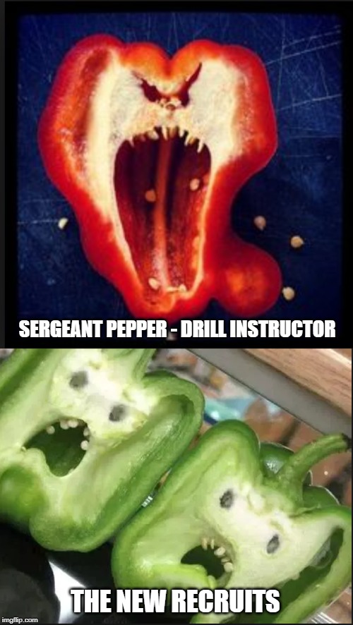 attention ! | SERGEANT PEPPER - DRILL INSTRUCTOR; THE NEW RECRUITS | image tagged in pepper,army | made w/ Imgflip meme maker
