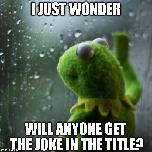 sometimes I wonder  | I JUST WONDER WILL ANYONE GET THE JOKE IN THE TITLE? | image tagged in sometimes i wonder | made w/ Imgflip meme maker