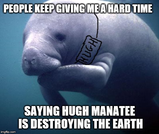 Hide the Pain Manatee | PEOPLE KEEP GIVING ME A HARD TIME; SAYING HUGH MANATEE IS DESTROYING THE EARTH | image tagged in manatee,save the earth | made w/ Imgflip meme maker