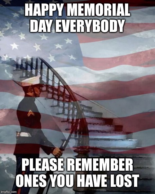 Memorial Day | HAPPY MEMORIAL DAY EVERYBODY; PLEASE REMEMBER ONES YOU HAVE LOST | image tagged in memorial day | made w/ Imgflip meme maker
