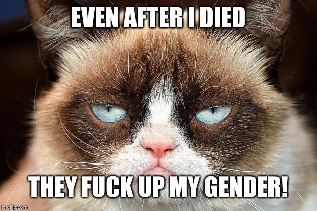 Grumpy Cat Not Amused Meme | EVEN AFTER I DIED THEY F**K UP MY GENDER! | image tagged in memes,grumpy cat not amused,grumpy cat | made w/ Imgflip meme maker