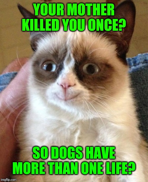 Grumpy Cat Happy Meme | YOUR MOTHER KILLED YOU ONCE? SO DOGS HAVE MORE THAN ONE LIFE? | image tagged in memes,grumpy cat happy,grumpy cat | made w/ Imgflip meme maker