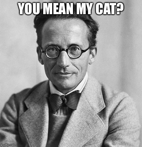 Erwin Schrodinger | YOU MEAN MY CAT? | image tagged in erwin schrodinger | made w/ Imgflip meme maker