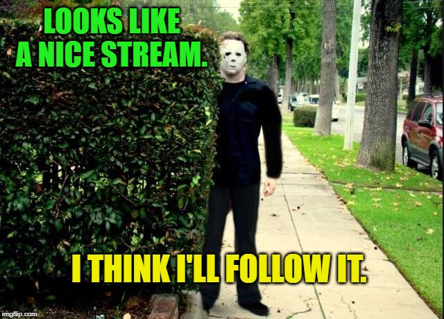Gonna post this in the right stream this time... **face palm** | LOOKS LIKE A NICE STREAM. I THINK I'LL FOLLOW IT. | image tagged in michael myers bush stalking,nixieknox,memes,doofus | made w/ Imgflip meme maker