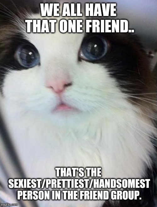 True tho | WE ALL HAVE THAT ONE FRIEND.. THAT'S THE SEXIEST/PRETTIEST/HANDSOMEST PERSON IN THE FRIEND GROUP. | image tagged in the prettiest cat | made w/ Imgflip meme maker