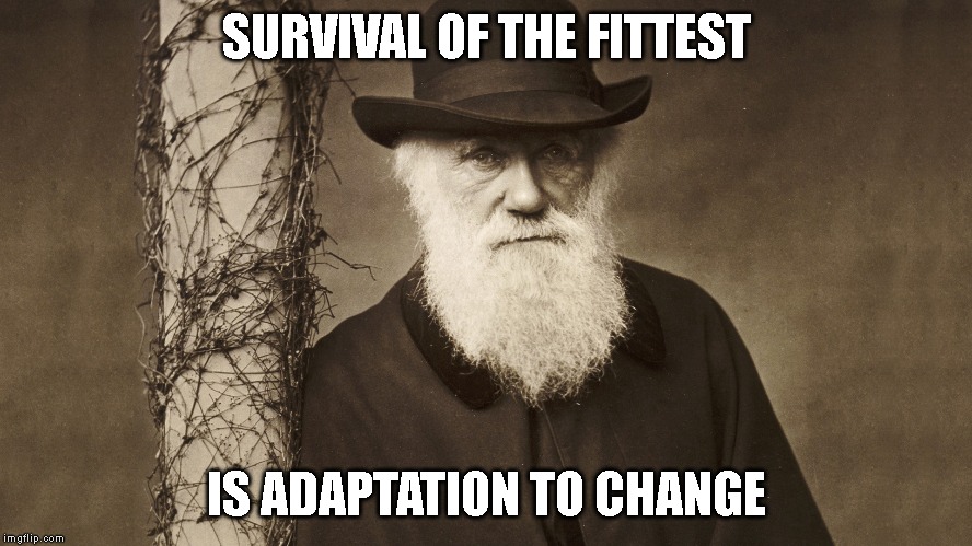 SURVIVAL OF THE FITTEST; IS ADAPTATION TO CHANGE | image tagged in darwin,survival of the fittest | made w/ Imgflip meme maker