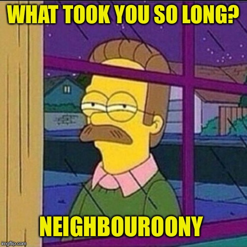 stalker | WHAT TOOK YOU SO LONG? NEIGHBOUROONY | image tagged in stalker | made w/ Imgflip meme maker