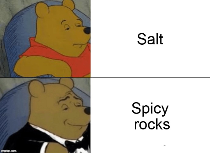 Tuxedo Winnie The Pooh | Salt; Spicy rocks | image tagged in memes,tuxedo winnie the pooh | made w/ Imgflip meme maker