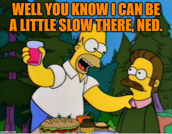 Homer and Ned | WELL YOU KNOW I CAN BE A LITTLE SLOW THERE, NED. | image tagged in homer and ned | made w/ Imgflip meme maker