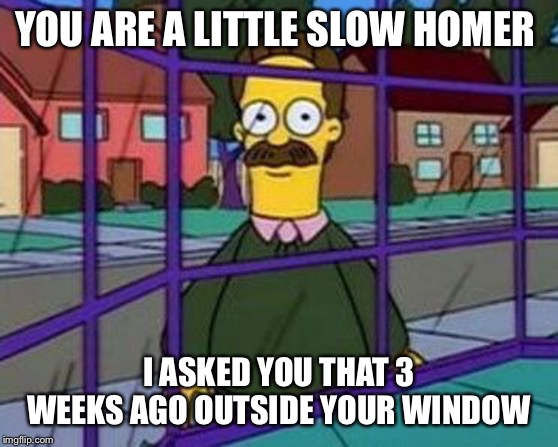 ned flanders | YOU ARE A LITTLE SLOW HOMER I ASKED YOU THAT 3 WEEKS AGO OUTSIDE YOUR WINDOW | image tagged in ned flanders | made w/ Imgflip meme maker