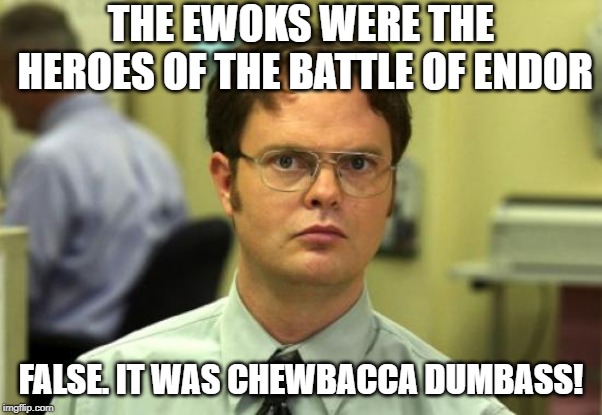 What a Wookie! | THE EWOKS WERE THE HEROES OF THE BATTLE OF ENDOR; FALSE. IT WAS CHEWBACCA DUMBASS! | image tagged in memes,dwight schrute | made w/ Imgflip meme maker