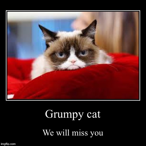 Grumpy cat | We will miss you | image tagged in funny,demotivationals | made w/ Imgflip demotivational maker
