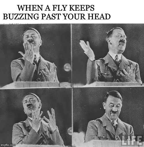 There’s always millions of them floating about in the summer | WHEN A FLY KEEPS BUZZING PAST YOUR HEAD | image tagged in hitler speech,fly,scumbag house fly | made w/ Imgflip meme maker