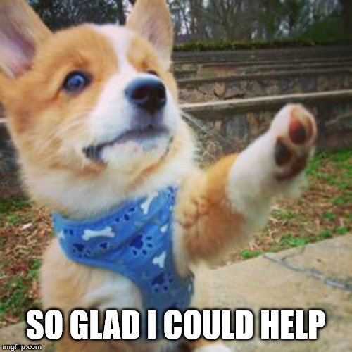puppy corgi | SO GLAD I COULD HELP | image tagged in puppy corgi | made w/ Imgflip meme maker