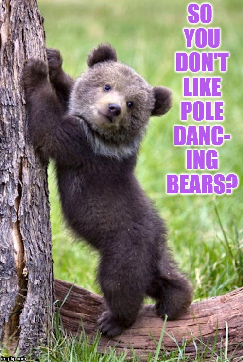 SO YOU DON'T LIKE POLE DANC- ING BEARS? | made w/ Imgflip meme maker