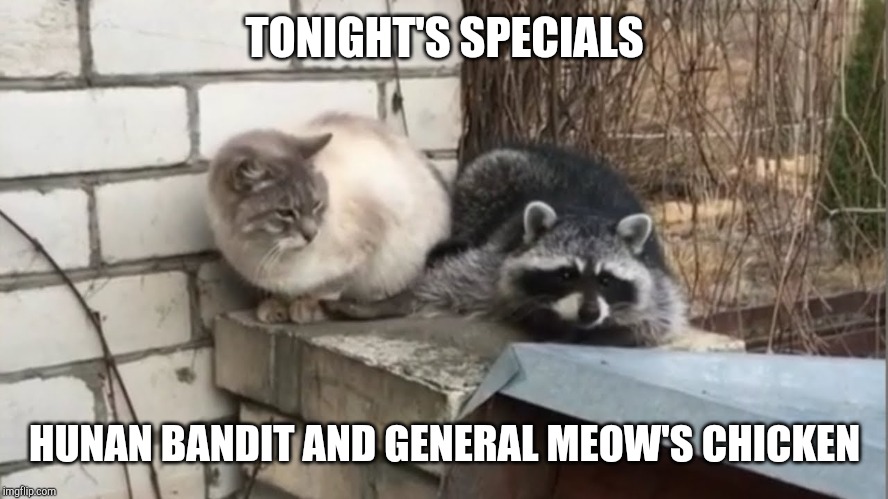 Chinese Beef and Chicken | TONIGHT'S SPECIALS; HUNAN BANDIT AND GENERAL MEOW'S CHICKEN | image tagged in chinese beef and chicken | made w/ Imgflip meme maker