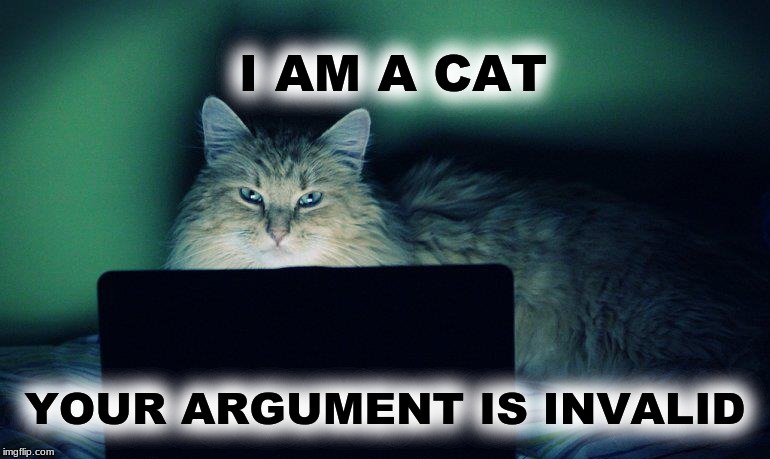 I AM A CAT; YOUR ARGUMENT IS INVALID | image tagged in cat,your argument is invalid,internet cat,what if i told you | made w/ Imgflip meme maker