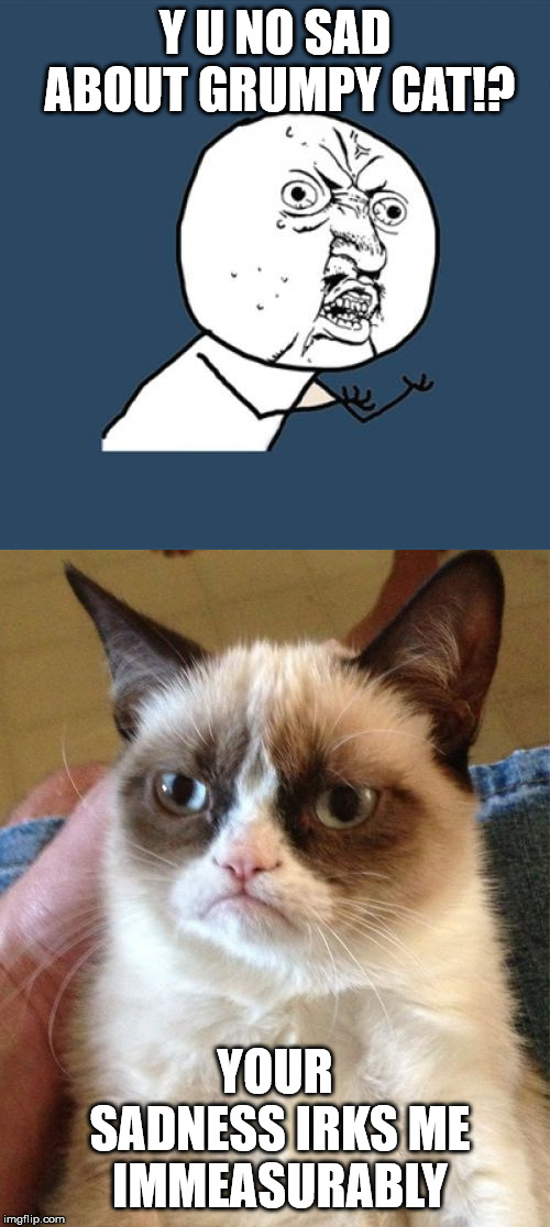 He doesn't want us to be sad | Y U NO SAD ABOUT GRUMPY CAT!? YOUR SADNESS IRKS ME IMMEASURABLY | image tagged in memes,y u no,grumpy cat | made w/ Imgflip meme maker