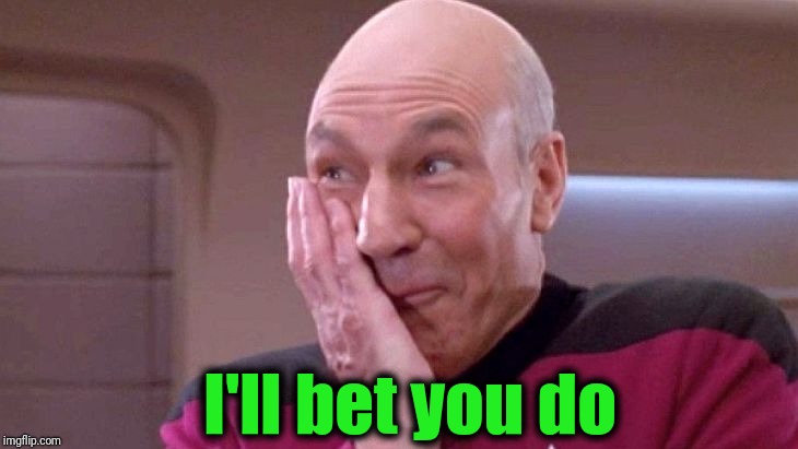 picard grin | I'll bet you do | image tagged in picard grin | made w/ Imgflip meme maker