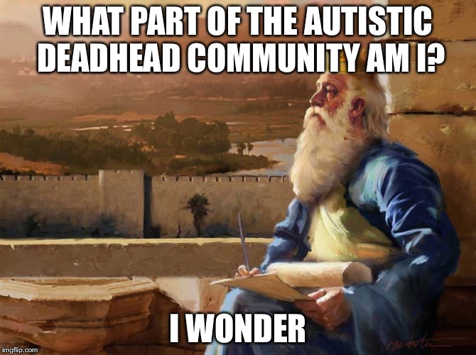 Wise King Solomon | WHAT PART OF THE AUTISTIC DEADHEAD COMMUNITY AM I? I WONDER | image tagged in wise king solomon | made w/ Imgflip meme maker