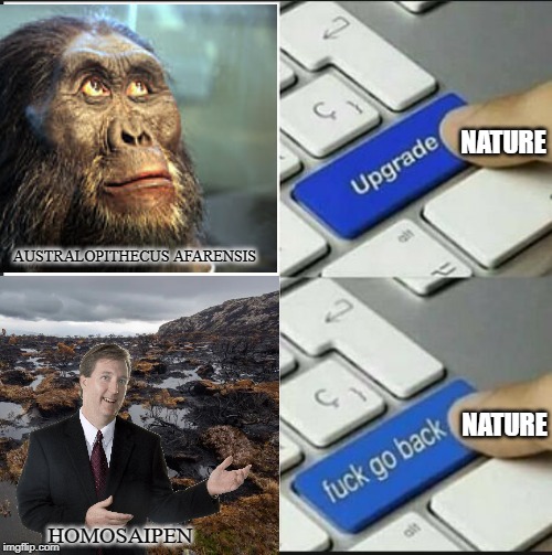 Humanity in a nutshell | NATURE; AUSTRALOPITHECUS AFARENSIS; NATURE; HOMOSAIPEN | image tagged in humans,evolution,nature,upgrade go back | made w/ Imgflip meme maker