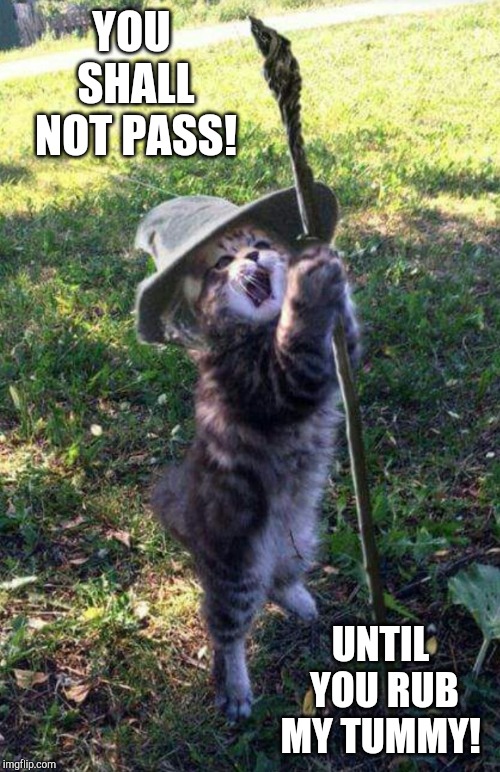 YOU SHALL NOT PASS! UNTIL YOU RUB MY TUMMY! | made w/ Imgflip meme maker
