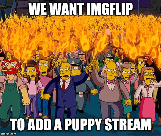 angry mob | WE WANT IMGFLIP; TO ADD A PUPPY STREAM | image tagged in angry mob | made w/ Imgflip meme maker