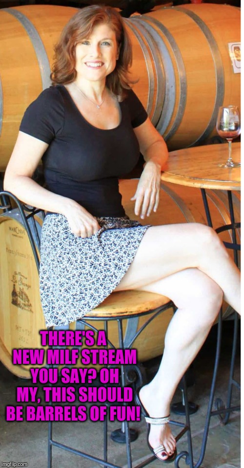 Like fine wine, some women improve with age | THERE'S A NEW MILF STREAM YOU SAY? OH MY, THIS SHOULD BE BARRELS OF FUN! | image tagged in milf,jbmemegeek,jana cristofano,sexy women | made w/ Imgflip meme maker