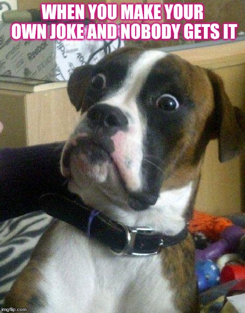 Surprised Dog | WHEN YOU MAKE YOUR OWN JOKE AND NOBODY GETS IT | image tagged in surprised dog | made w/ Imgflip meme maker