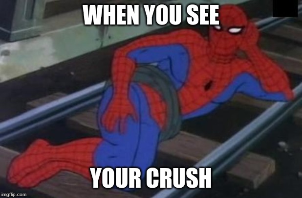 Sexy Railroad Spiderman Meme | WHEN YOU SEE; YOUR CRUSH | image tagged in memes,sexy railroad spiderman,spiderman | made w/ Imgflip meme maker
