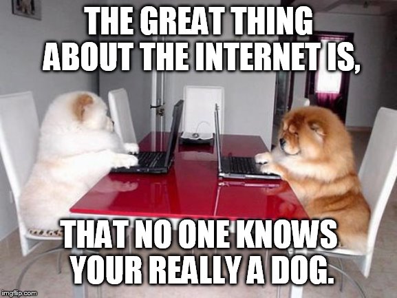 anon | THE GREAT THING ABOUT THE INTERNET IS, THAT NO ONE KNOWS YOUR REALLY A DOG. | image tagged in internet dogs | made w/ Imgflip meme maker