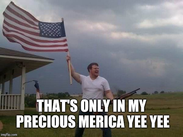 American flag shotgun guy | THAT'S ONLY IN MY PRECIOUS MERICA YEE YEE | image tagged in american flag shotgun guy | made w/ Imgflip meme maker