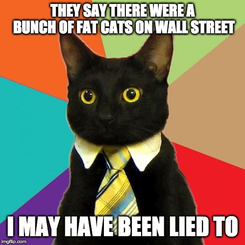 Wall Street Cat | THEY SAY THERE WERE A BUNCH OF FAT CATS ON WALL STREET; I MAY HAVE BEEN LIED TO | image tagged in memes,business cat | made w/ Imgflip meme maker