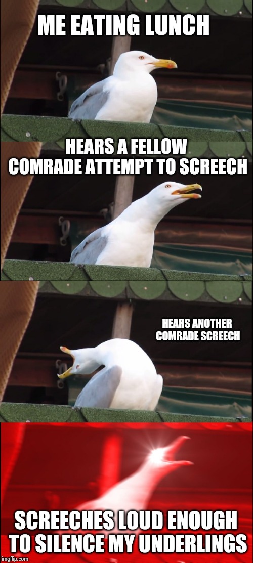 Inhaling Seagull Meme | ME EATING LUNCH; HEARS A FELLOW COMRADE ATTEMPT TO SCREECH; HEARS ANOTHER COMRADE SCREECH; SCREECHES LOUD ENOUGH TO SILENCE MY UNDERLINGS | image tagged in memes,inhaling seagull | made w/ Imgflip meme maker