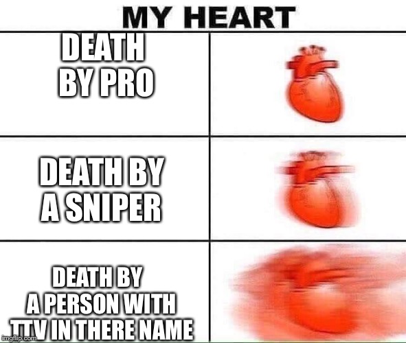 My heart | DEATH BY PRO; DEATH BY A SNIPER; DEATH BY  A PERSON WITH TTV IN THERE NAME | image tagged in my heart | made w/ Imgflip meme maker