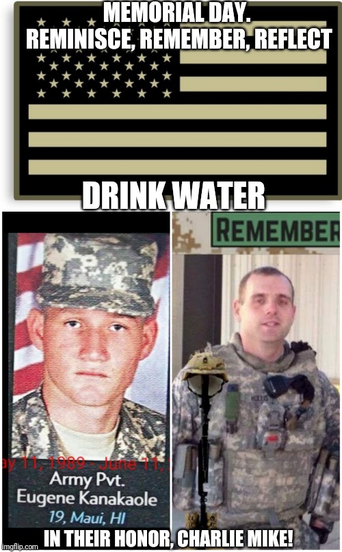 Nuff said | MEMORIAL DAY. REMINISCE, REMEMBER, REFLECT; DRINK WATER; IN THEIR HONOR, CHARLIE MIKE! | image tagged in military,memorial day,brothers,the daily struggle | made w/ Imgflip meme maker