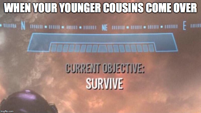 Current Objective: Survive | WHEN YOUR YOUNGER COUSINS COME OVER | image tagged in current objective survive | made w/ Imgflip meme maker