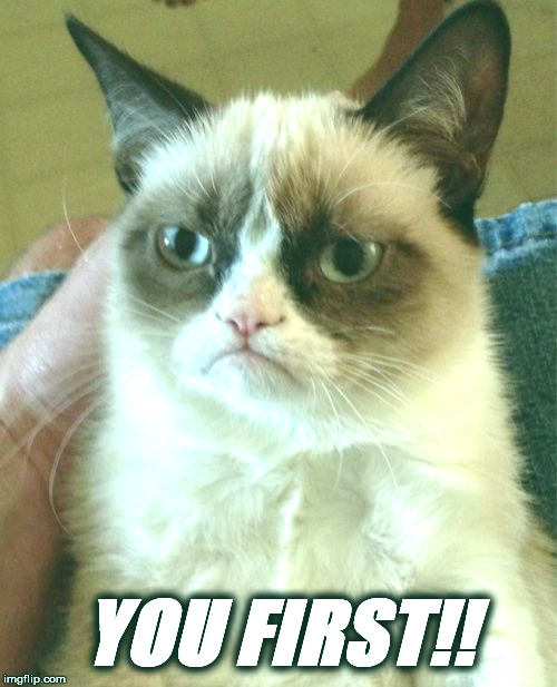 Grumpy Cat tells Death where it can go | YOU FIRST!! | image tagged in memes,grumpy cat | made w/ Imgflip meme maker