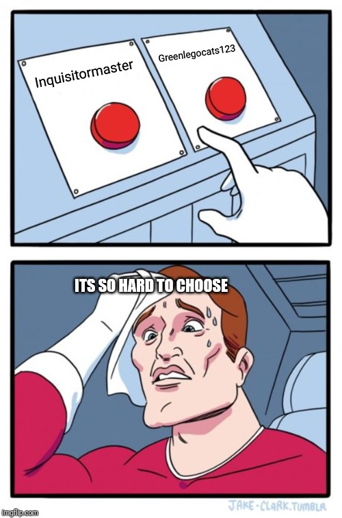 Hoo to choose | Greenlegocats123; Inquisitormaster; ITS SO HARD TO CHOOSE | image tagged in memes,two buttons | made w/ Imgflip meme maker