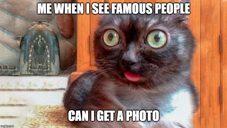 he wants a photo | ME WHEN I SEE FAMOUS PEOPLE; CAN I GET A PHOTO | image tagged in funny,animals | made w/ Imgflip meme maker