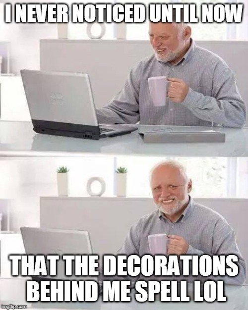 Hide the Pain Harold | I NEVER NOTICED UNTIL NOW; THAT THE DECORATIONS BEHIND ME SPELL LOL | image tagged in memes,hide the pain harold | made w/ Imgflip meme maker