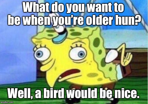 Mocking Spongebob Meme | What do you want to be when you’re older hun? Well, a bird would be nice. | image tagged in memes,mocking spongebob | made w/ Imgflip meme maker