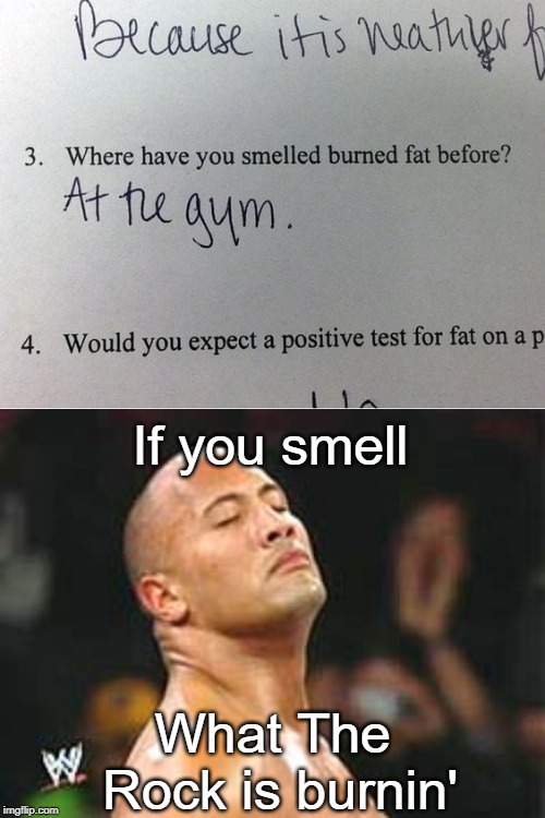 Dwayne Johnson AKA The Rock would be proud of this one. | If you smell; What The Rock is burnin' | image tagged in the rock smelling,burned,fat,exam,success failure,funny | made w/ Imgflip meme maker