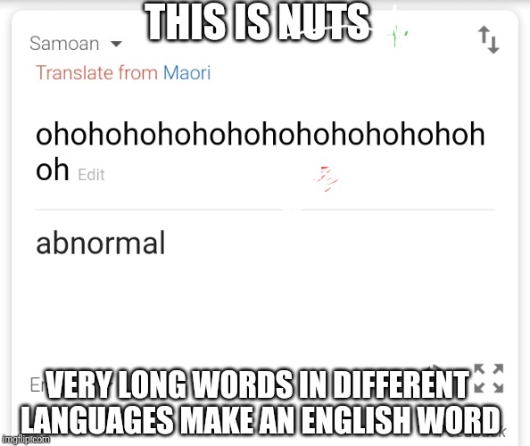 This translation goes nuts | THIS IS NUTS; VERY LONG WORDS IN DIFFERENT LANGUAGES MAKE AN ENGLISH WORD | image tagged in memes,google translate | made w/ Imgflip meme maker