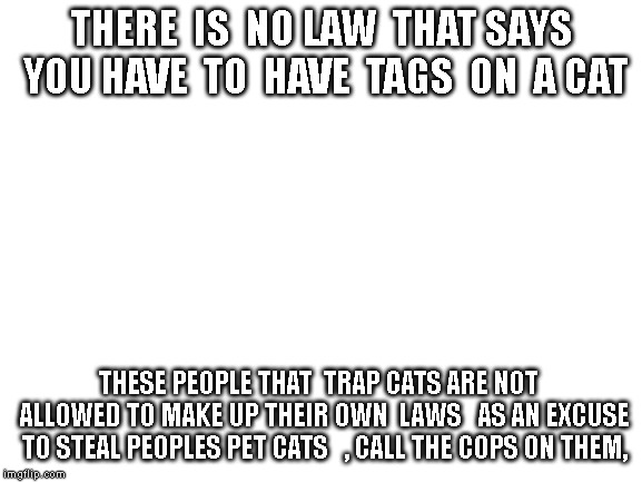 Blank White Template | THERE  IS  NO LAW  THAT SAYS YOU HAVE  TO  HAVE  TAGS  ON  A CAT; THESE PEOPLE THAT  TRAP CATS ARE NOT  ALLOWED TO MAKE UP THEIR OWN  LAWS   AS AN EXCUSE TO STEAL PEOPLES PET CATS 
 , CALL THE COPS ON THEM, | image tagged in blank white template | made w/ Imgflip meme maker